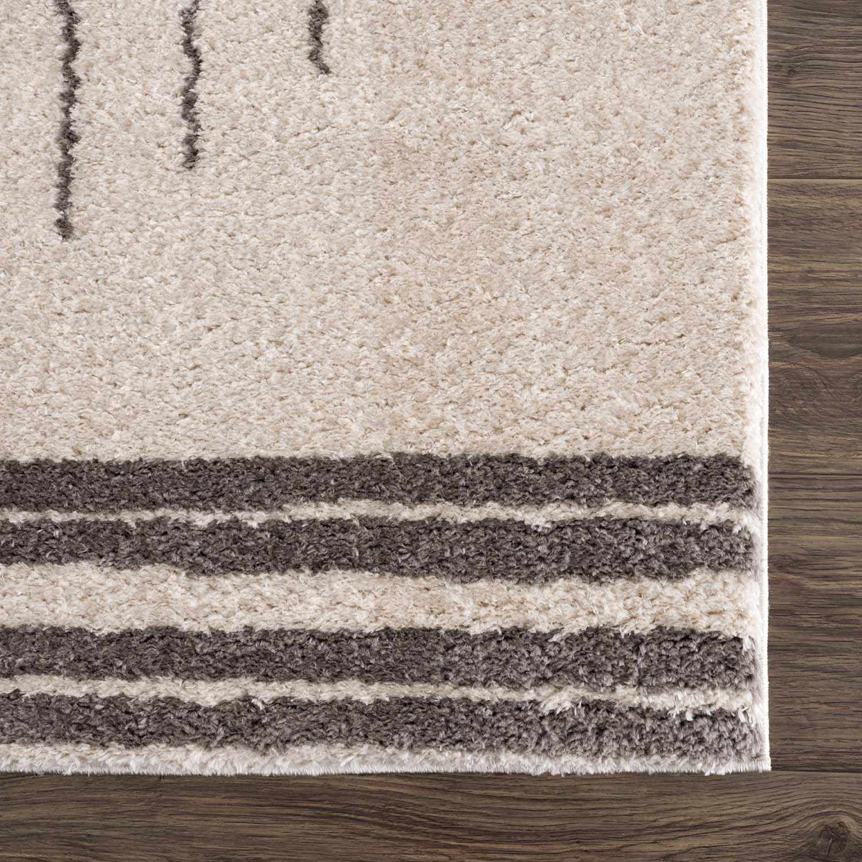 Apichu Charcoal Washable Area Rug