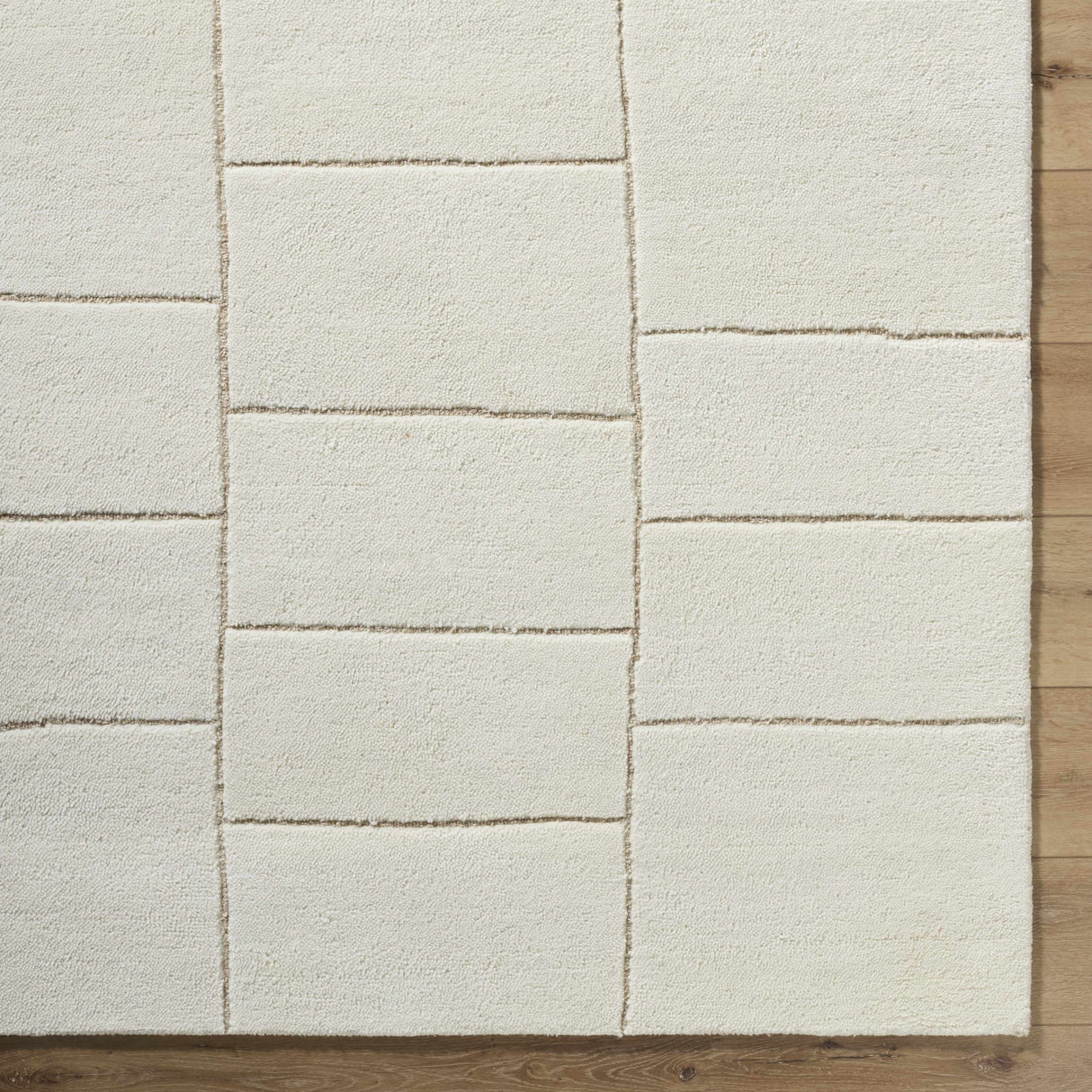 Xylia Beige Area Rug