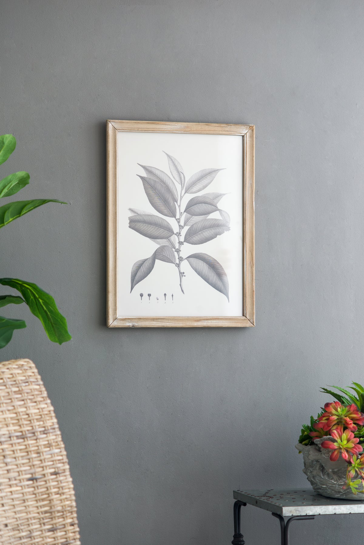 Botanical Wall Décor Set of 4