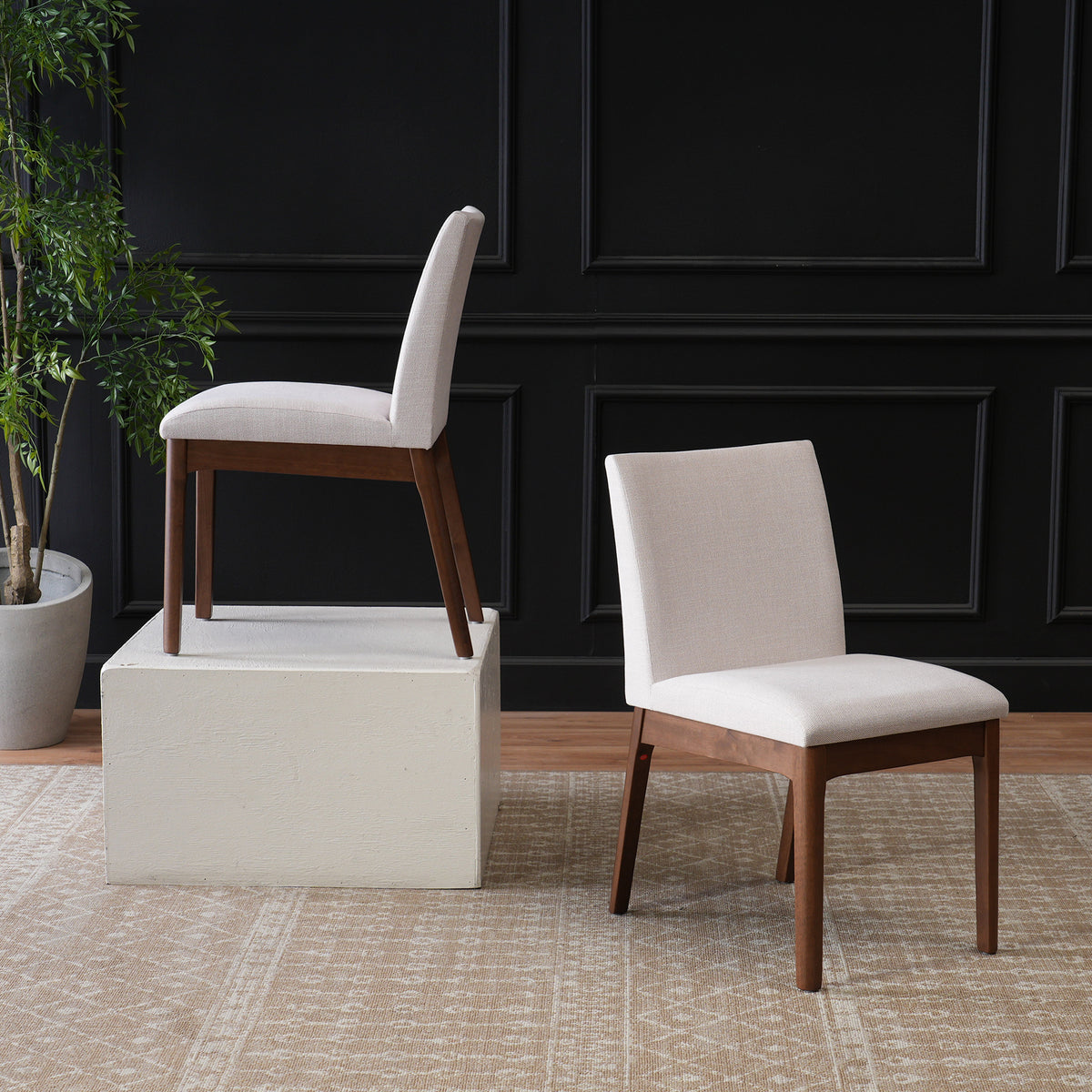 Set of 2 Contemporary Dining Chairs