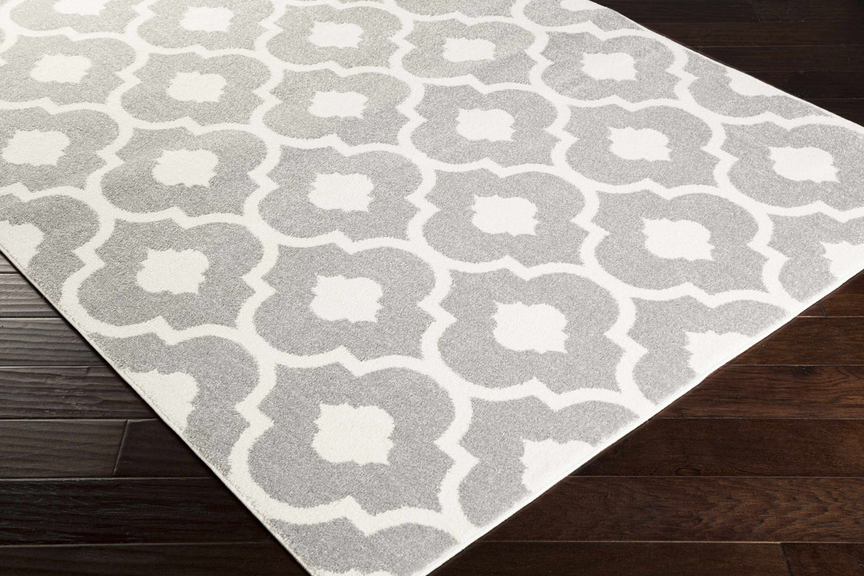 Alachua Area Rug - Clearance