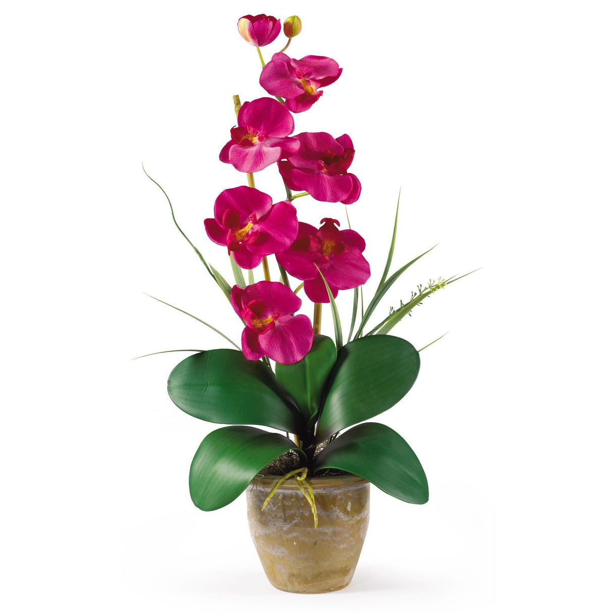 Single Stem Phalaenopsis Silk Orchid Arrangement