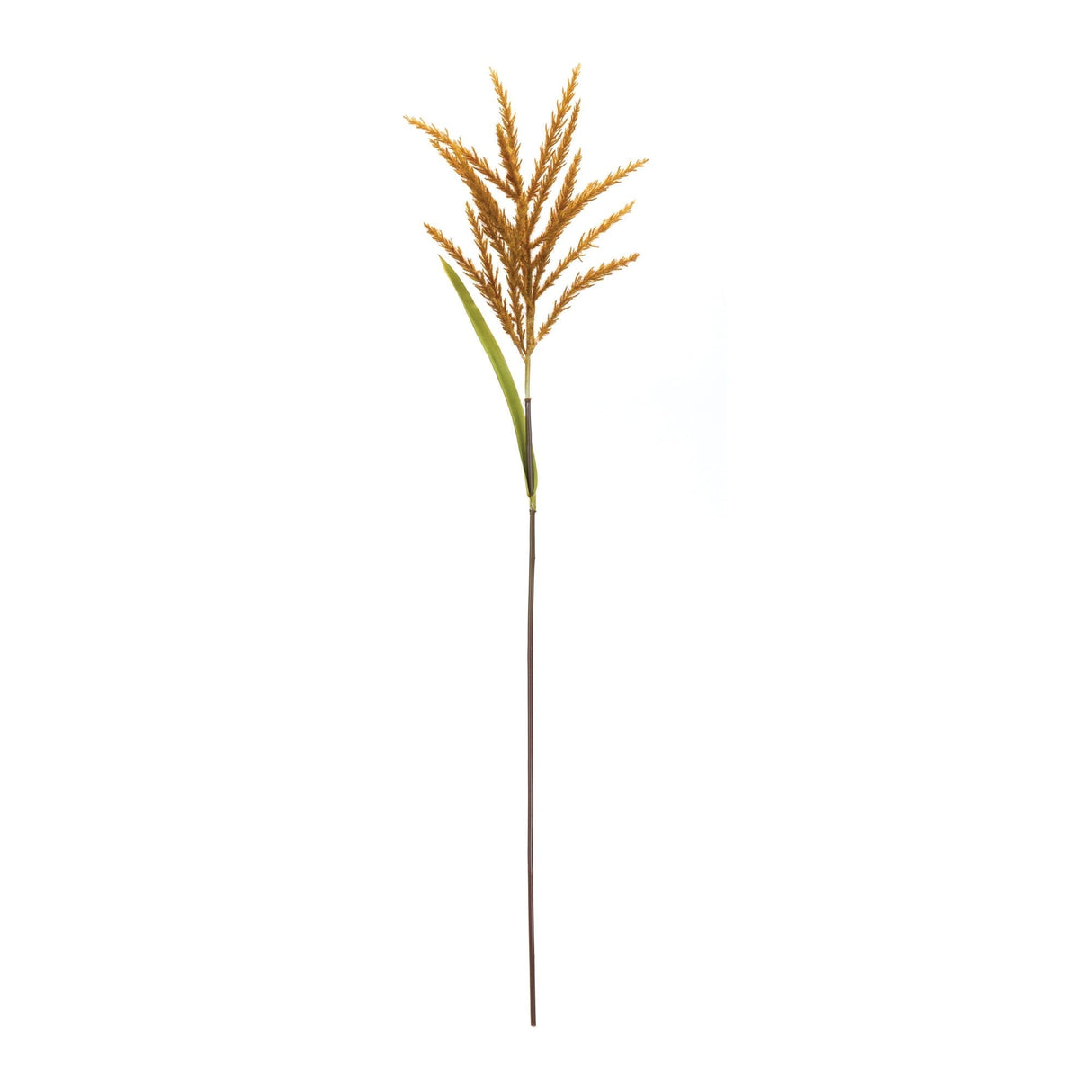Astilbe Stem (Set of 12) - Tuesday Morning - Faux Stems & Sprays