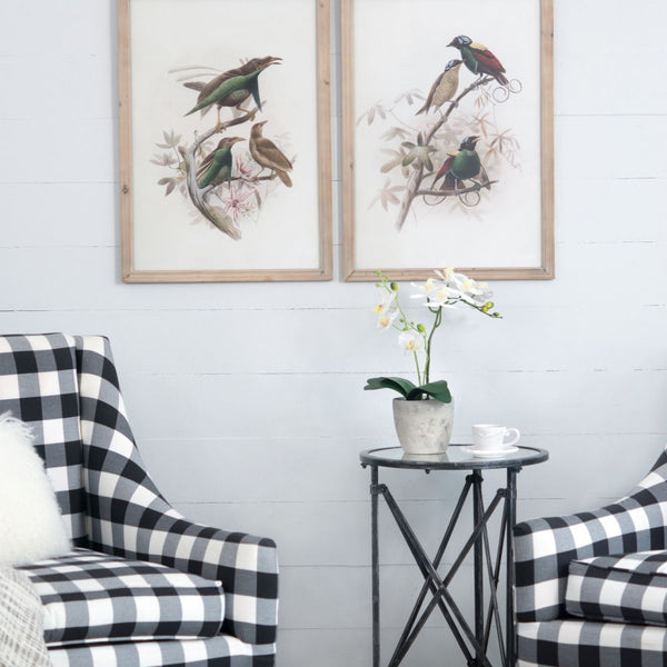 Bird Framed Print (Set of 2) - Multicolor