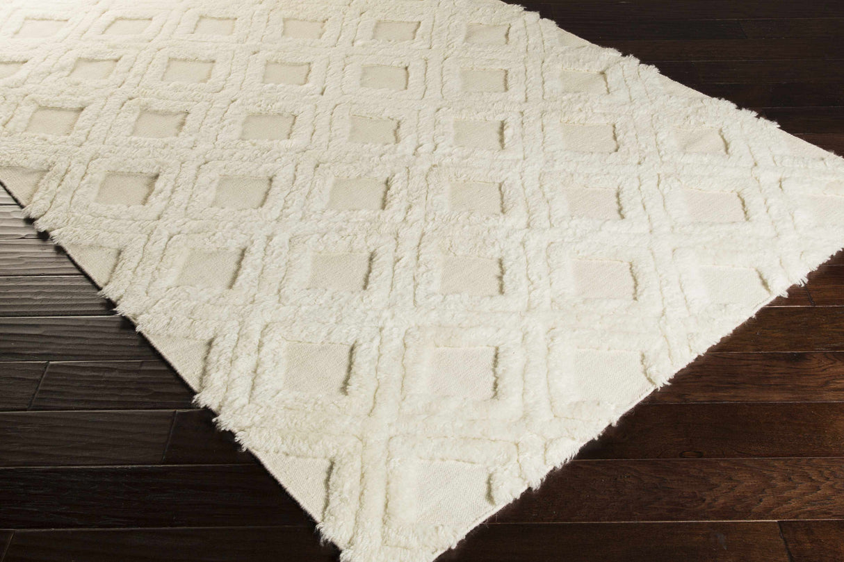 Bairoil Area Rug - Clearance