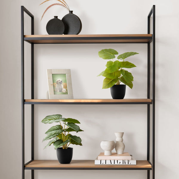 13" Tall, Artificial Plant, Epipremnum, Indoor, Faux, Fake, Table, Greenery, Potted, Decorative (Set of 2) - Green / Black - Best Buy Furniture