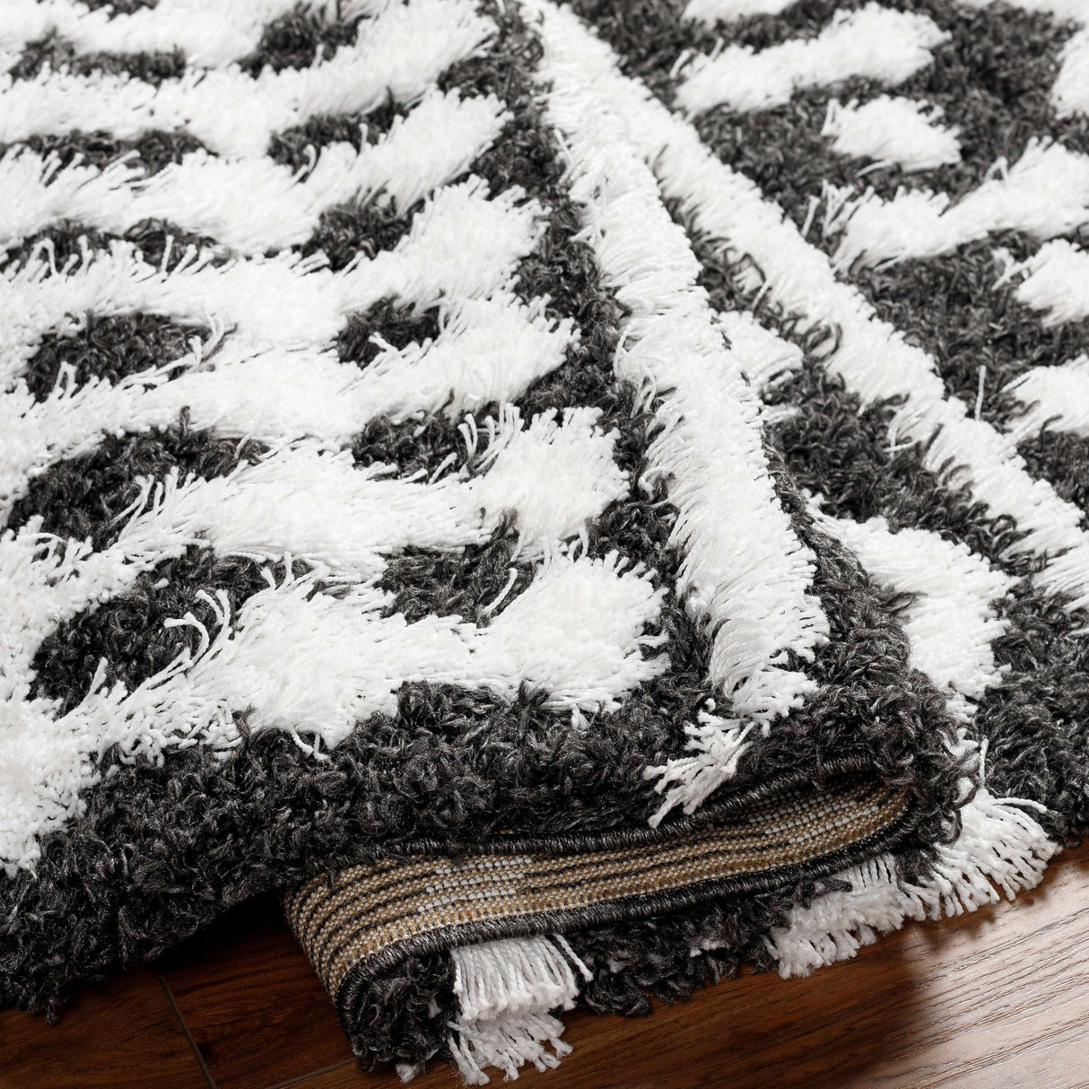 Bente Shag Area Rug