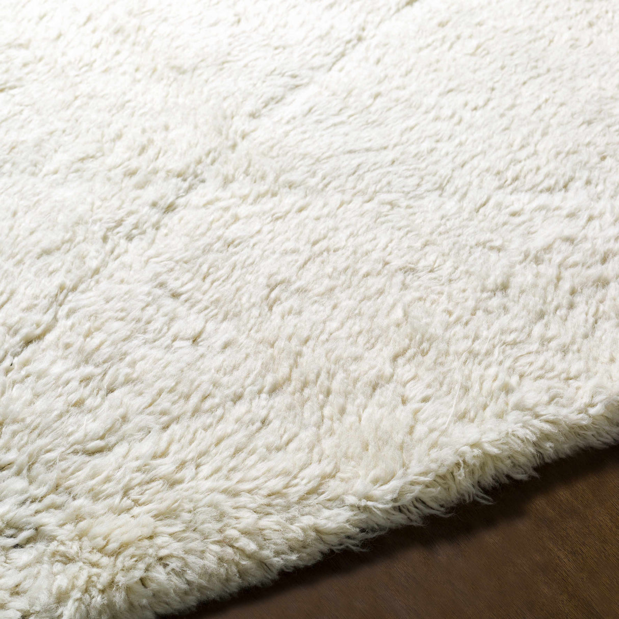 Birdwell Area Rug - Clearance