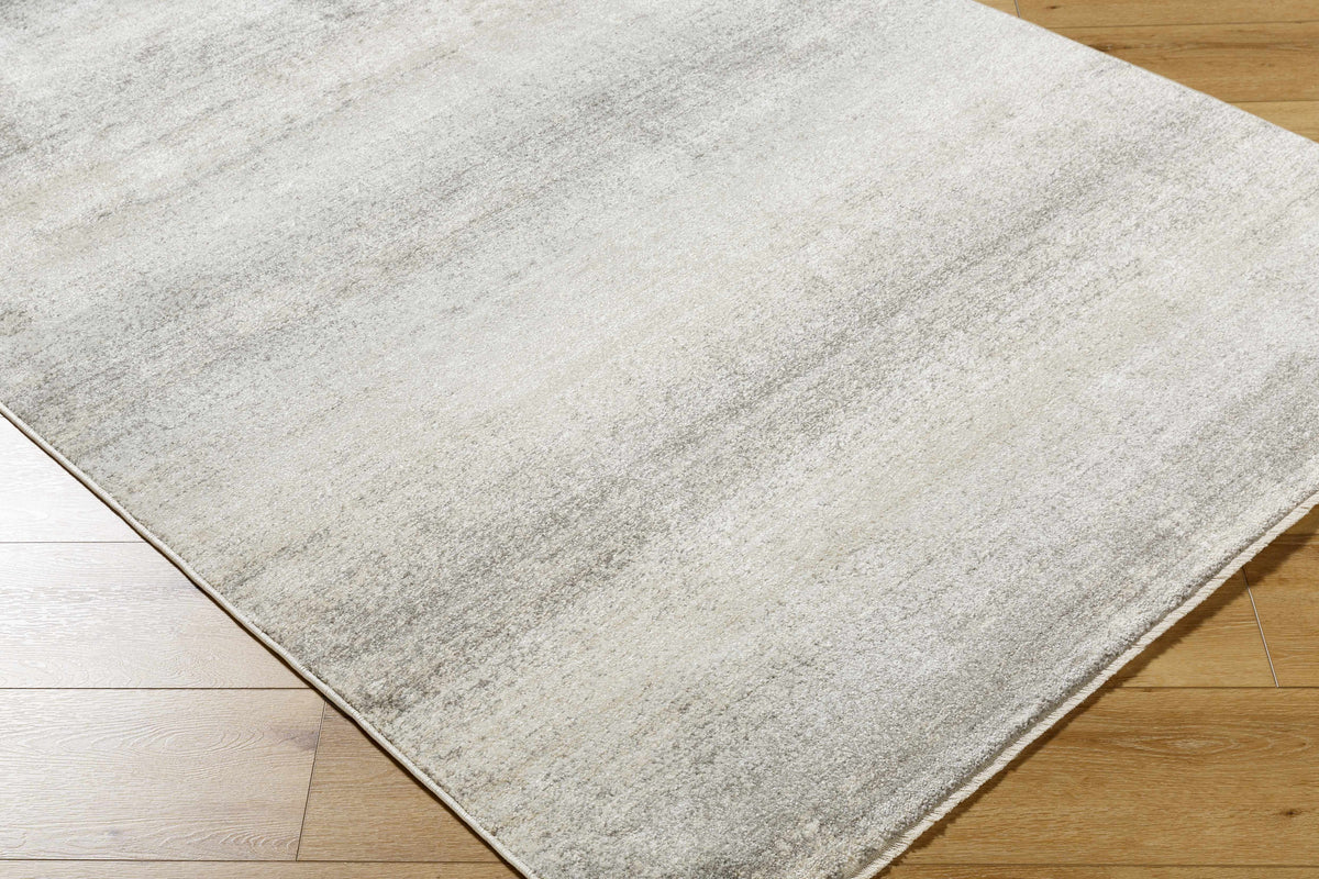 Boutique Rugs Uzima Gray Area Rug - view 4