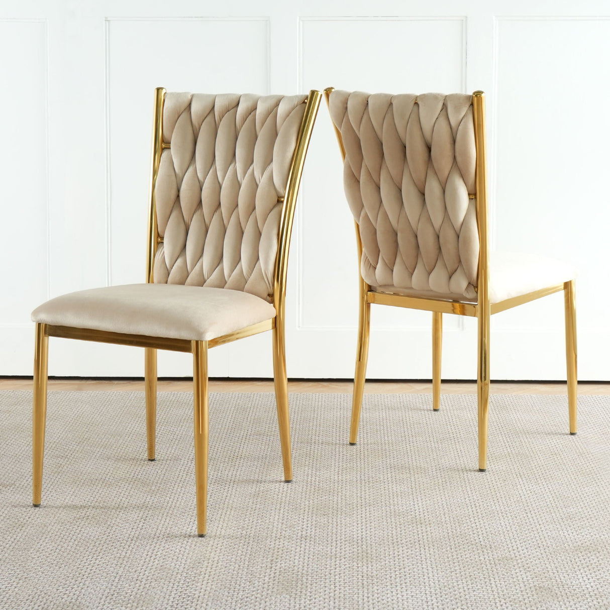 Modern Dining Chair For Dining Room
