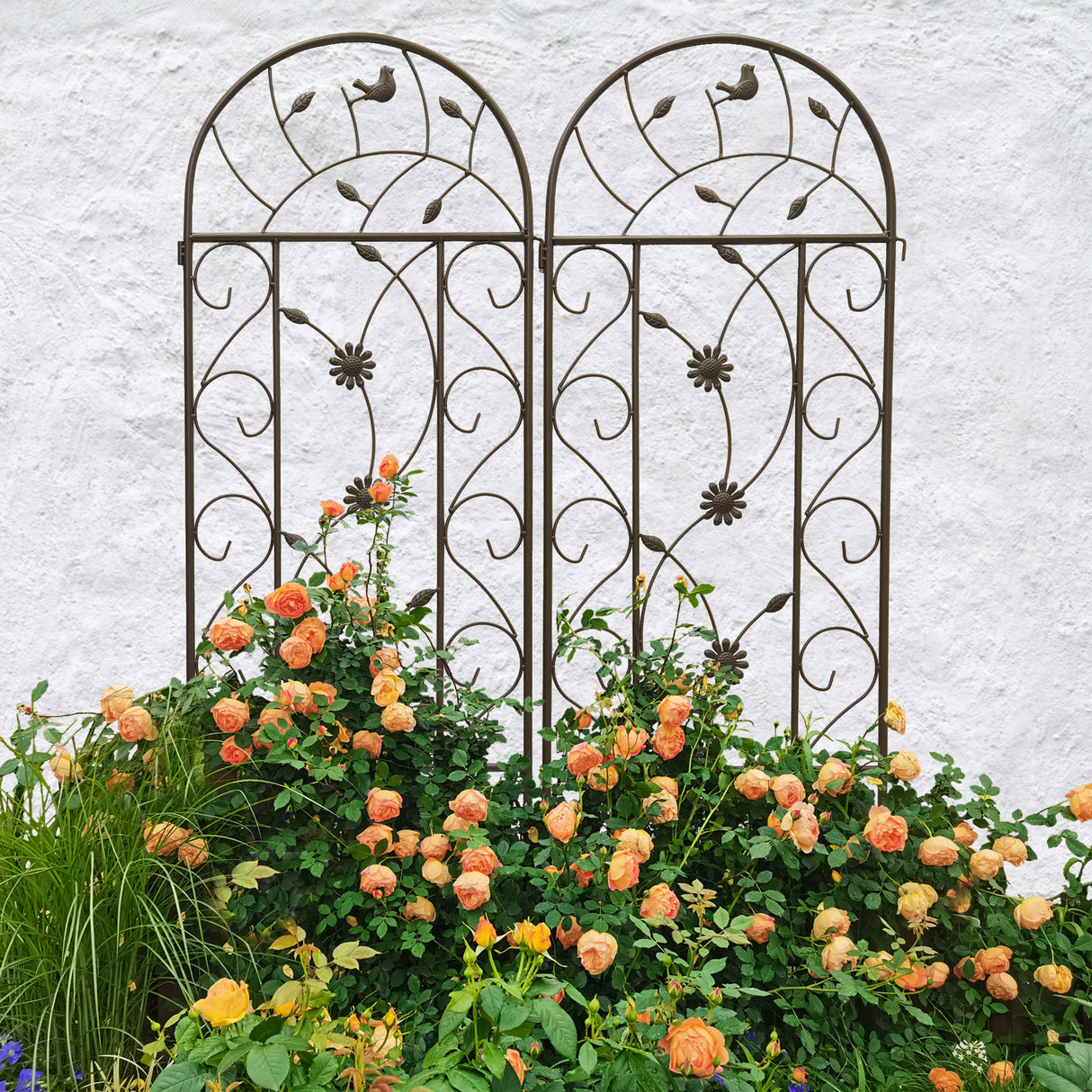 2 Pack Metal Garden Trellis 86.7" x 19.7"