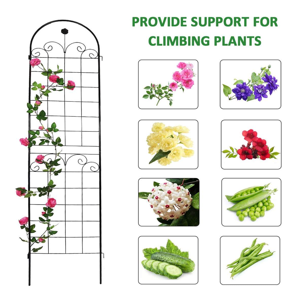 Metal Garden Trellis For Climbing Plants Outdoor Rustproof Plant Support Rose Trellis Netting Trellis