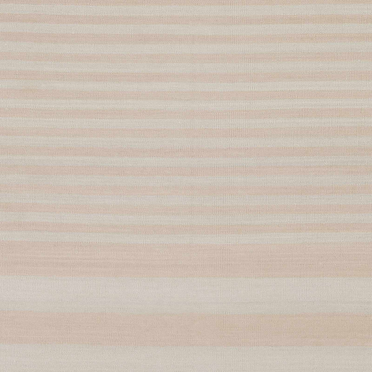 Canones Area Rug - Clearance
