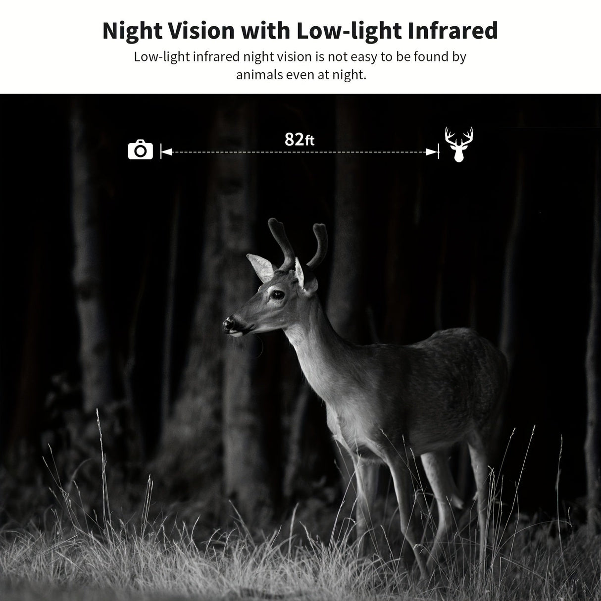 4K Hunting Trail Camera with 4G Live View - Solar Powered, 0.2s Trigger & Auto Night Vision