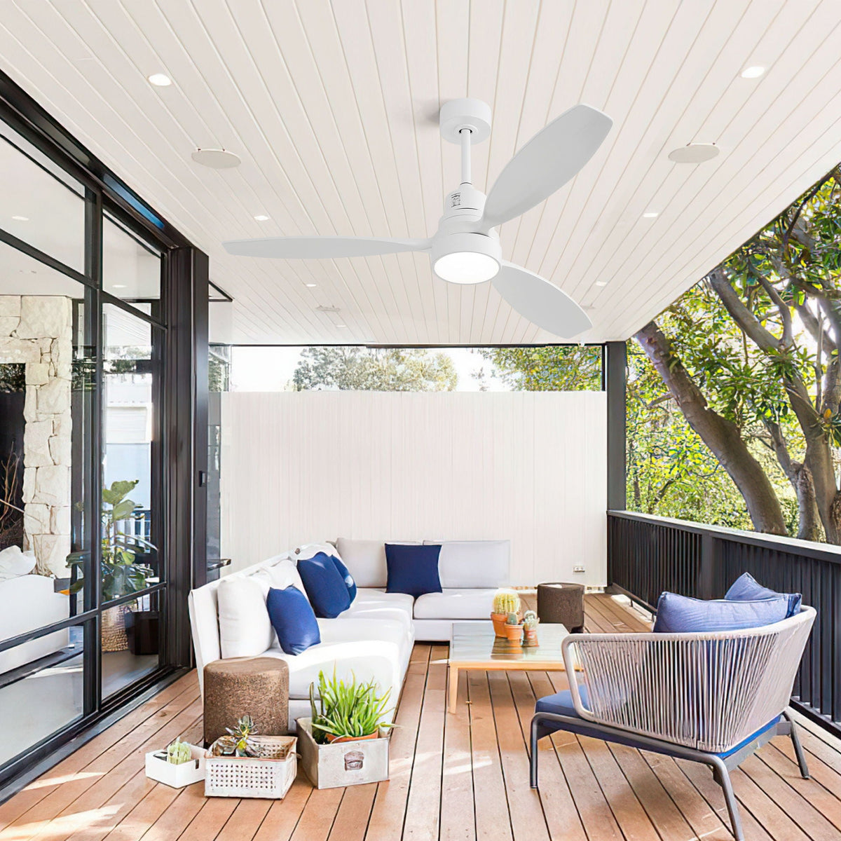 Ceiling Fan with Reversible DC Motor - view 6