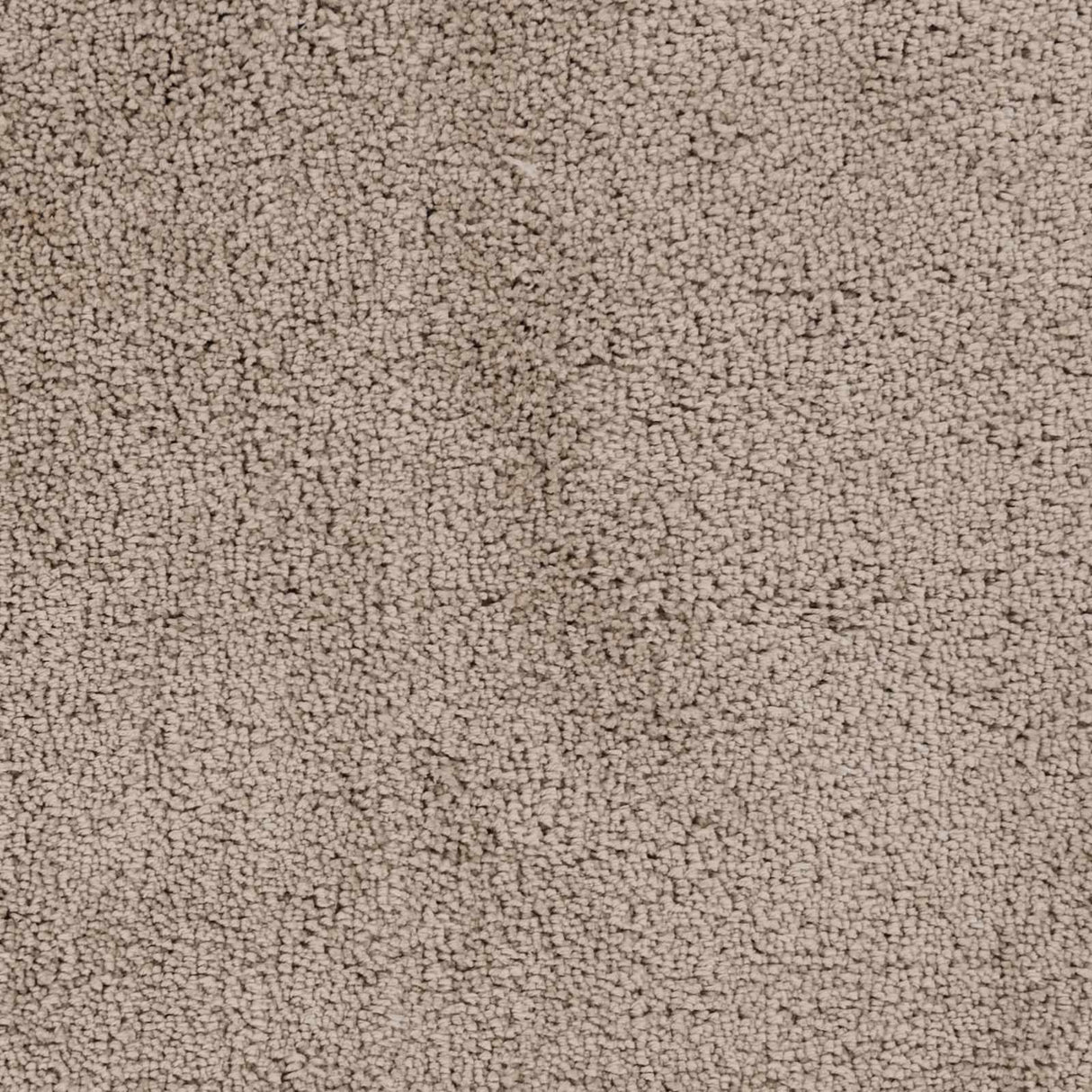 Tingly 2x3 Hand Woven Solid Cream Shag Rug - Clearance