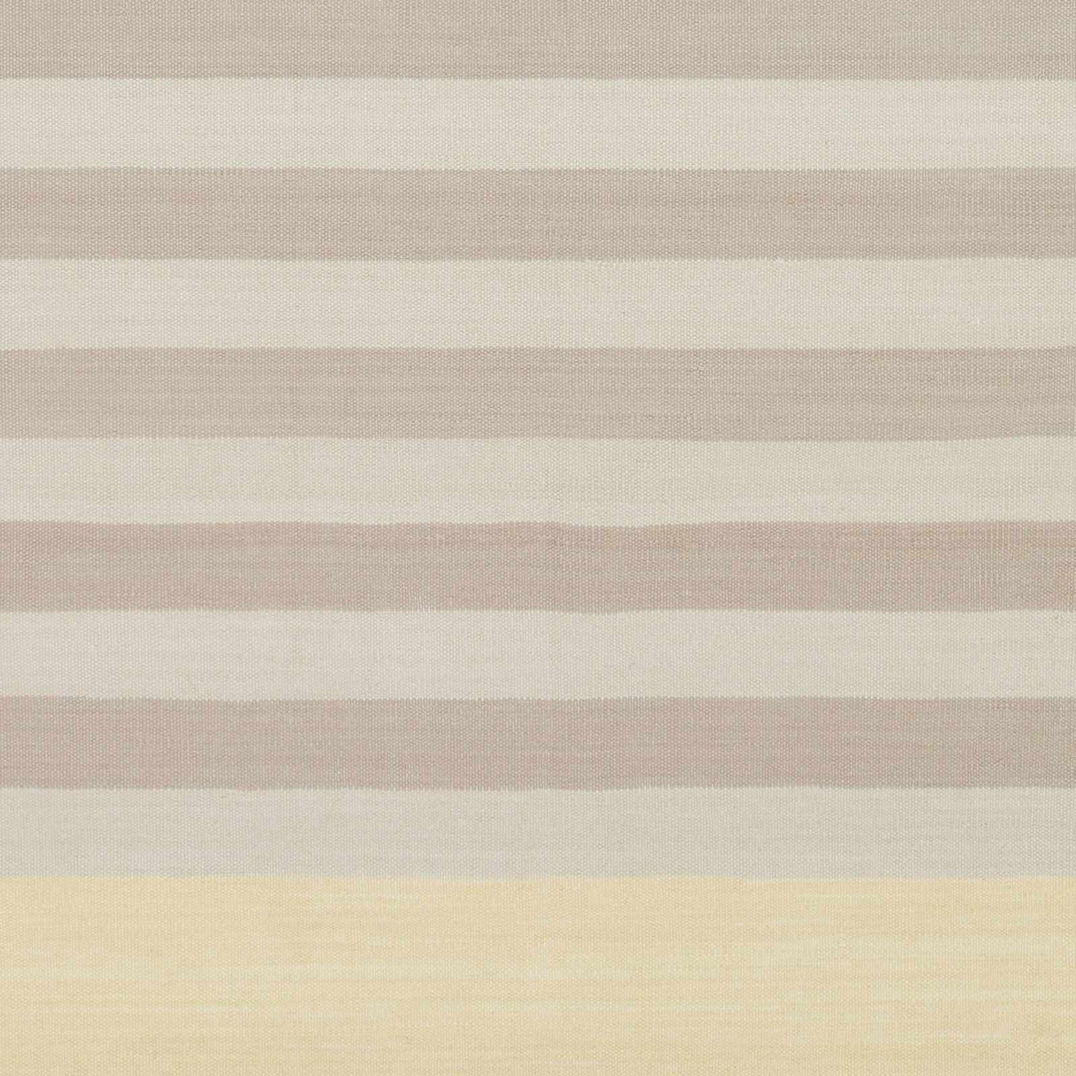 Comins Area Carpet - Clearance