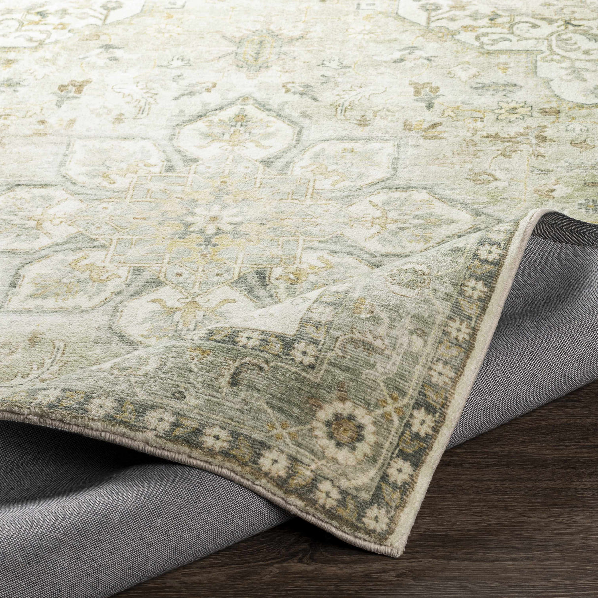 Crondall Sage Traditional Area Rug