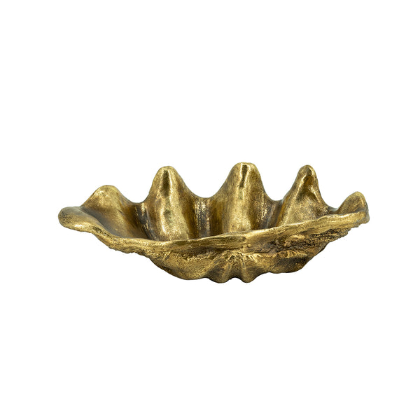 19.7x10.6x5.5" Decorative Shell Bowl