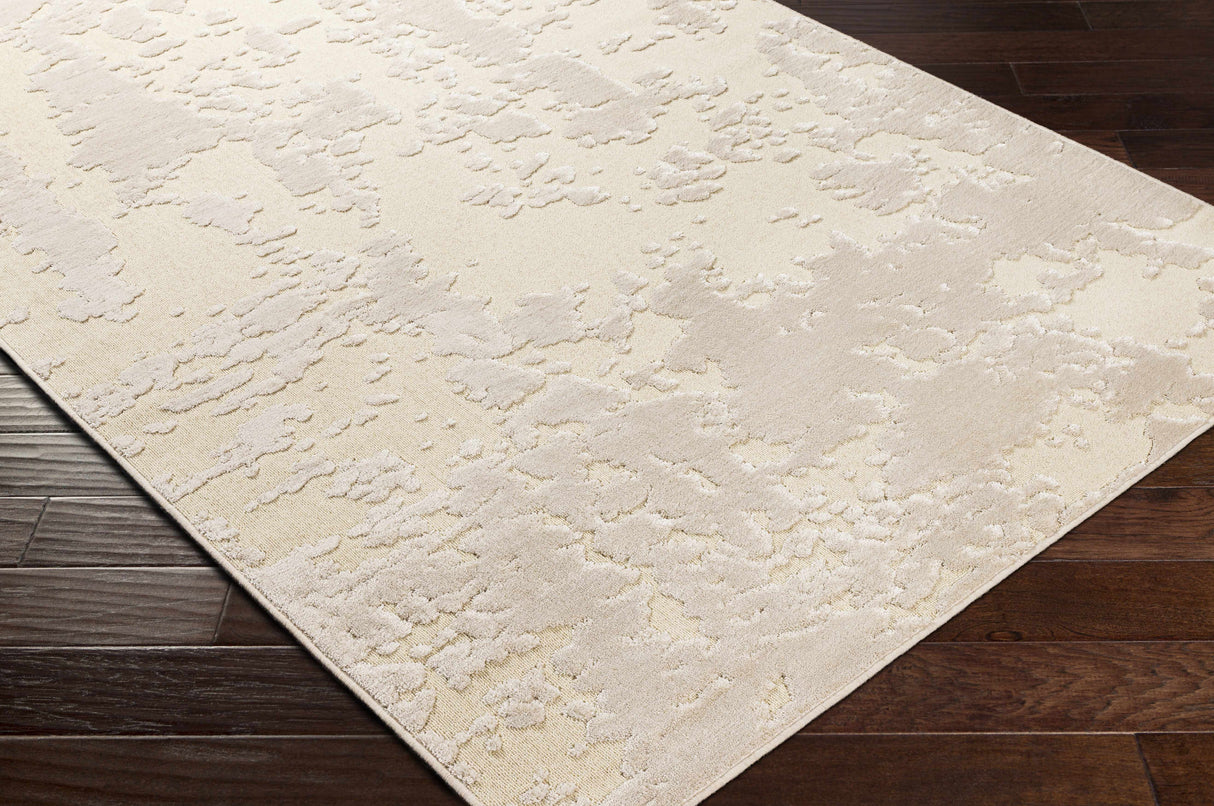 Donnycarney Area Rug - Clearance