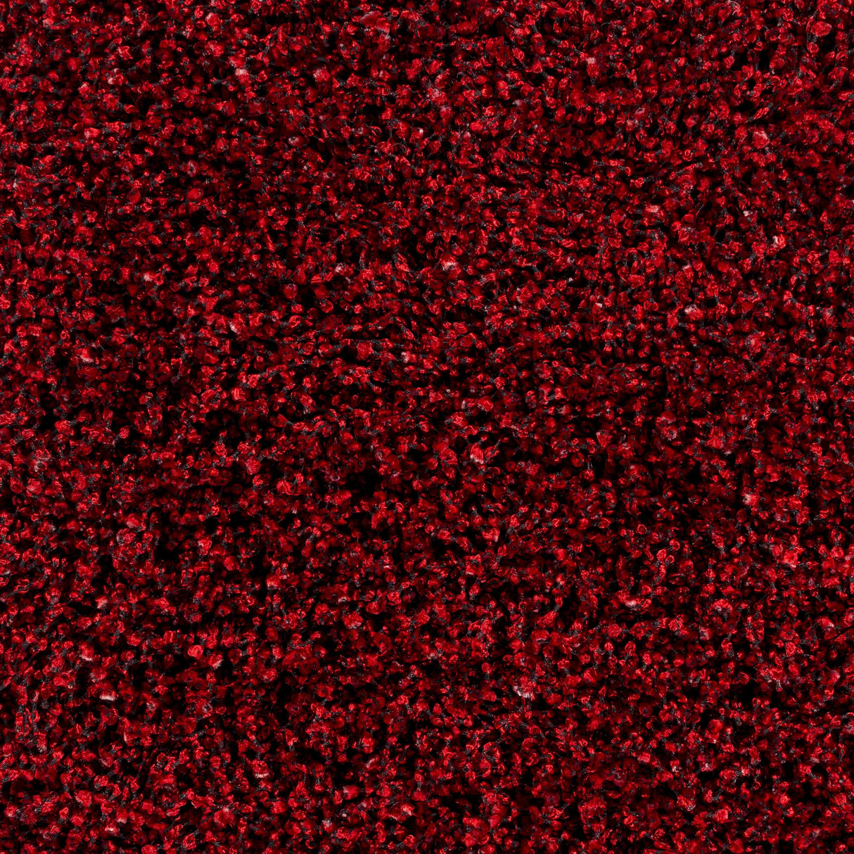 Dorsey Area Rug - Clearance