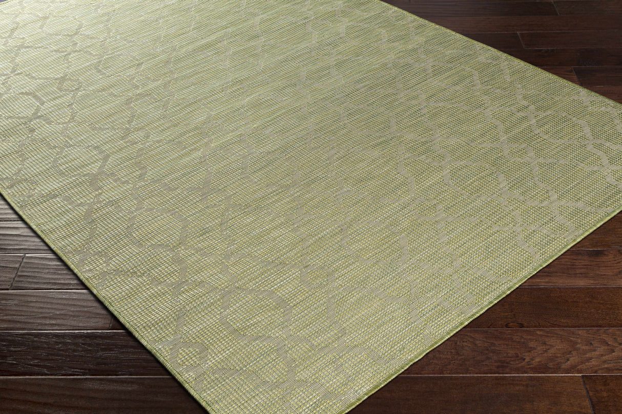 Dunedoo Flatweave Area Carpet - Clearance