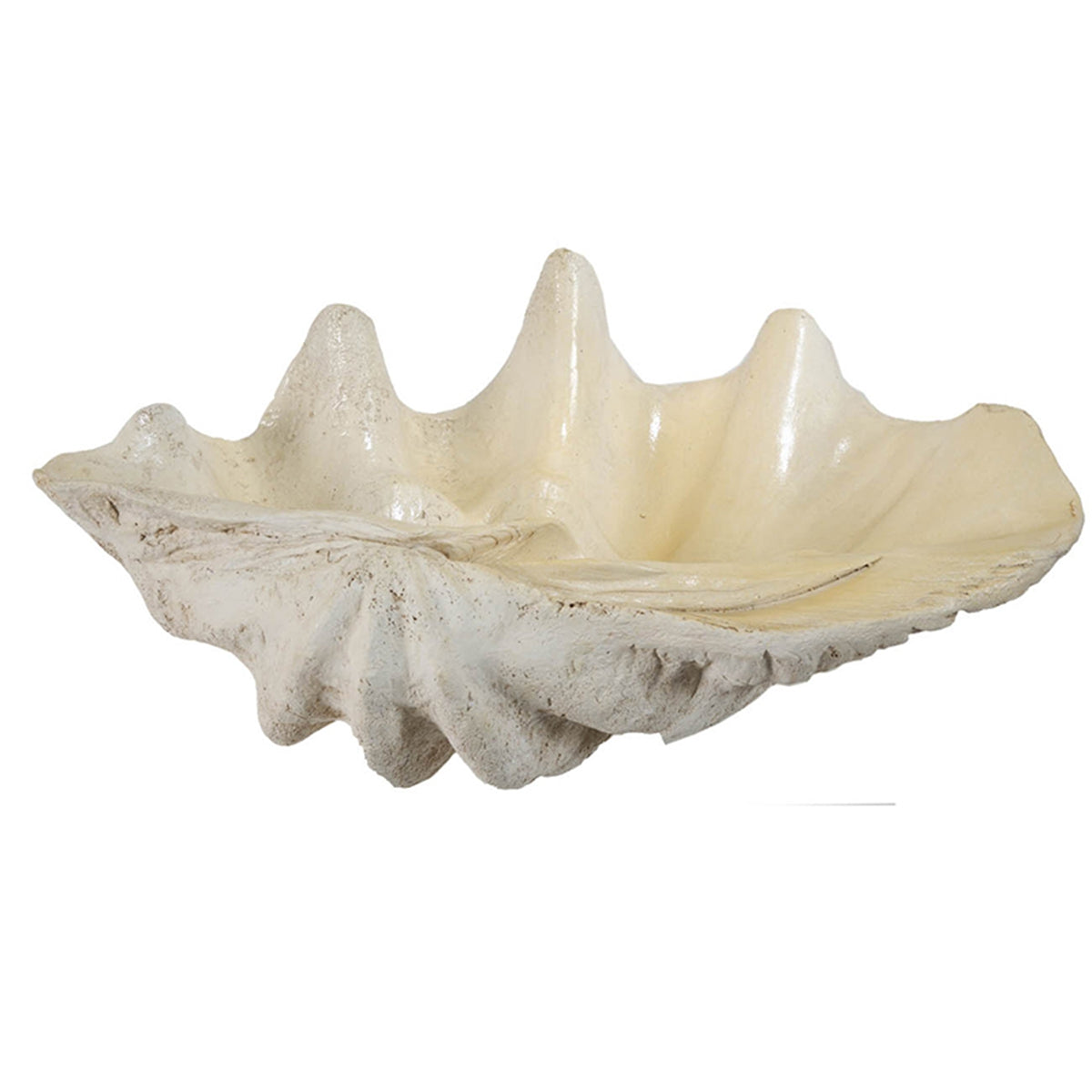 Large Clam Shell Accent, Coastal Style, 25.3-Inch, Cream