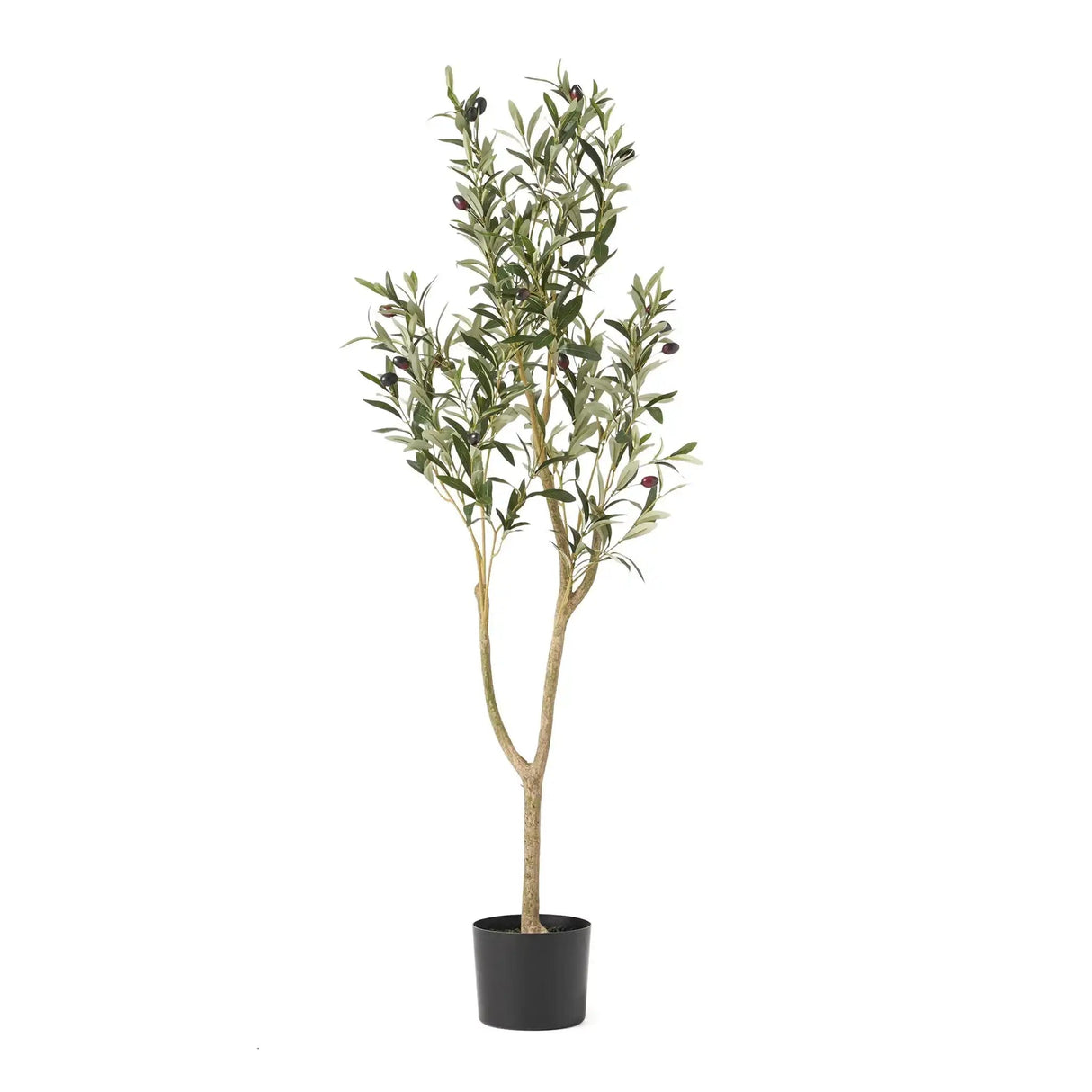 Artificial Olive Tree - Best Buy Furniture