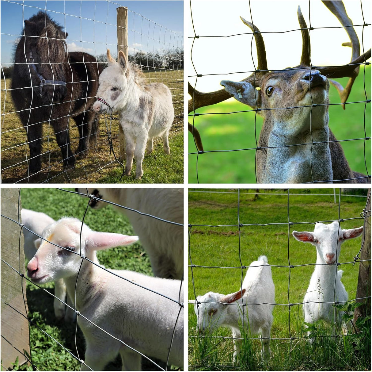 Farm Fence - 3ft x 164ft Heavy Zinc Coated Cattle Fence