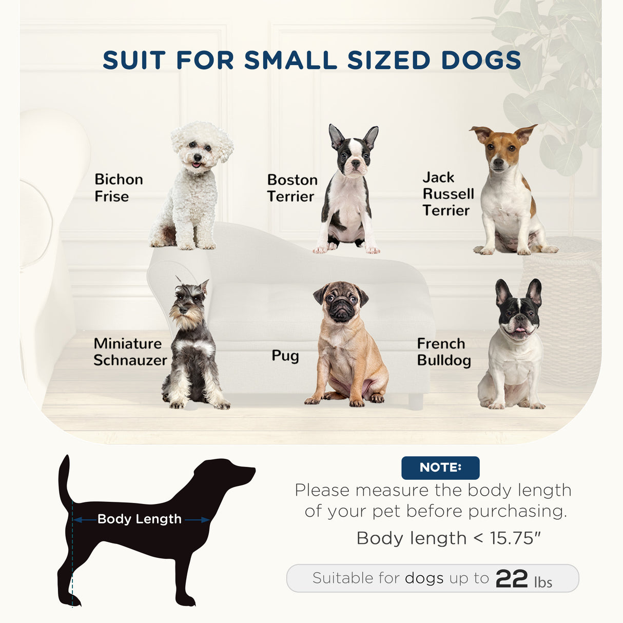 Pet Sofa Dog Sofa for Small Dogs with Storage