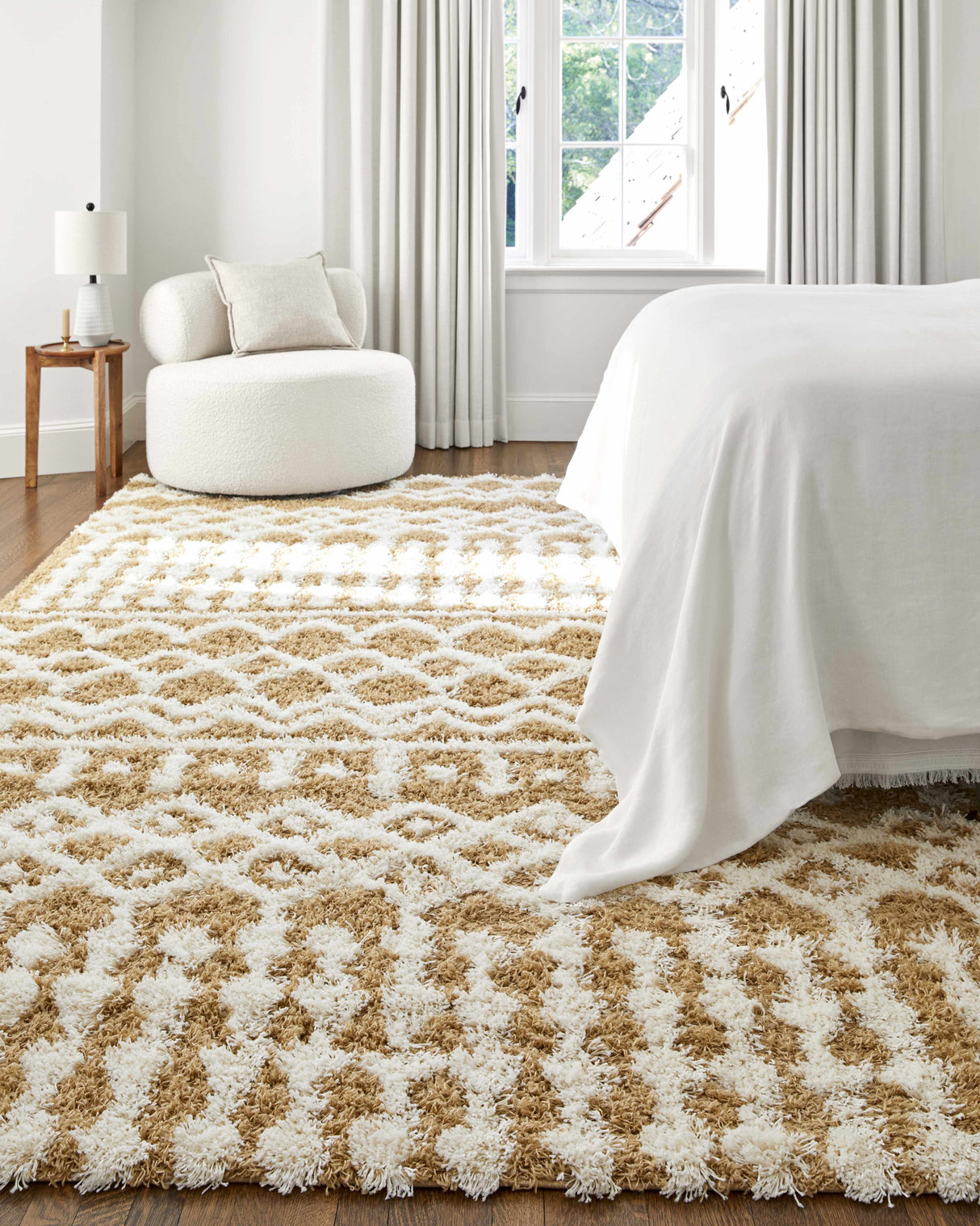 Evely Shag Area Rug