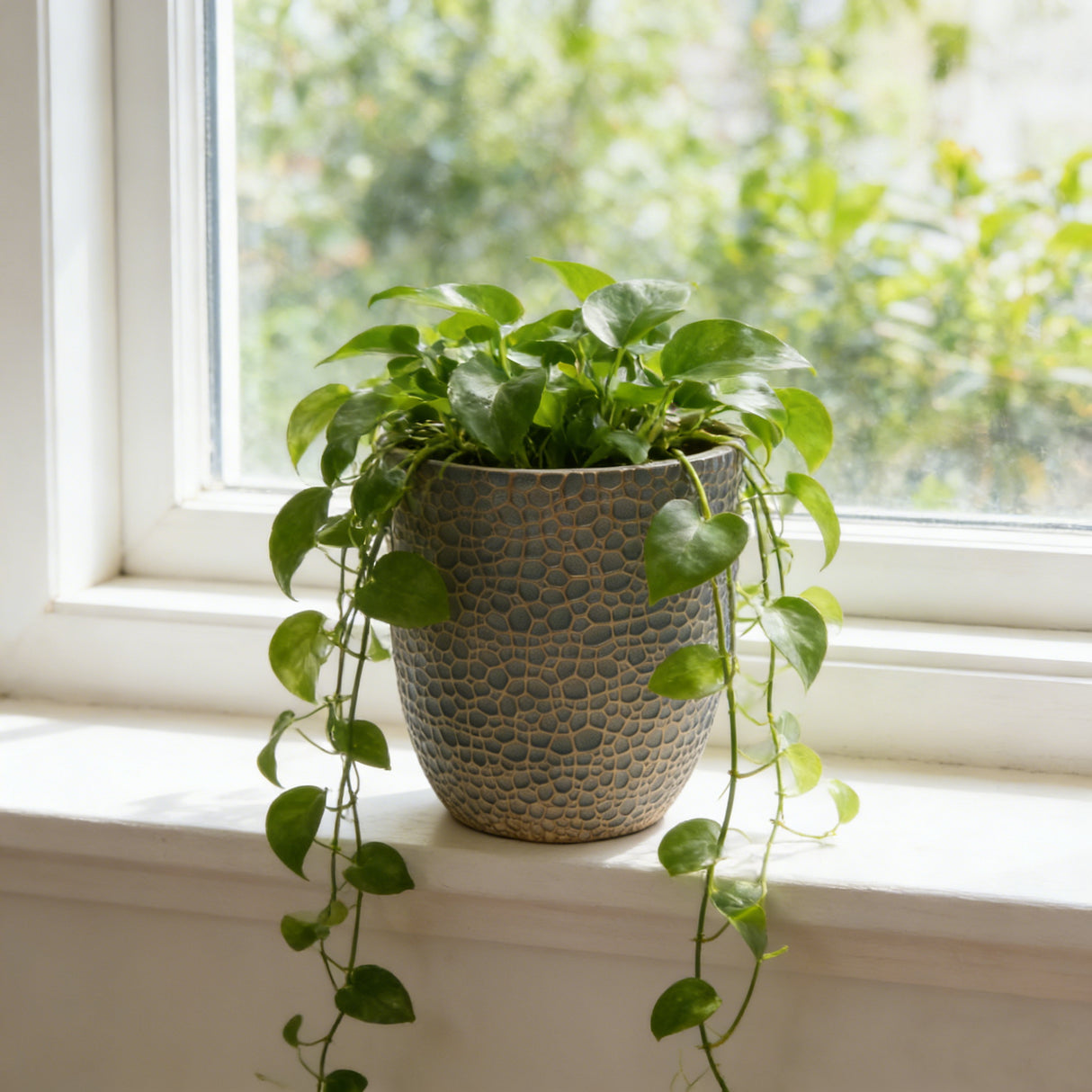 Large Outdoor Indoor Planter Set of 3