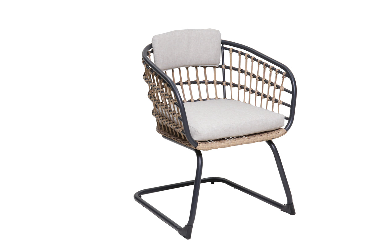 Wicker Dining Chair Set of 2