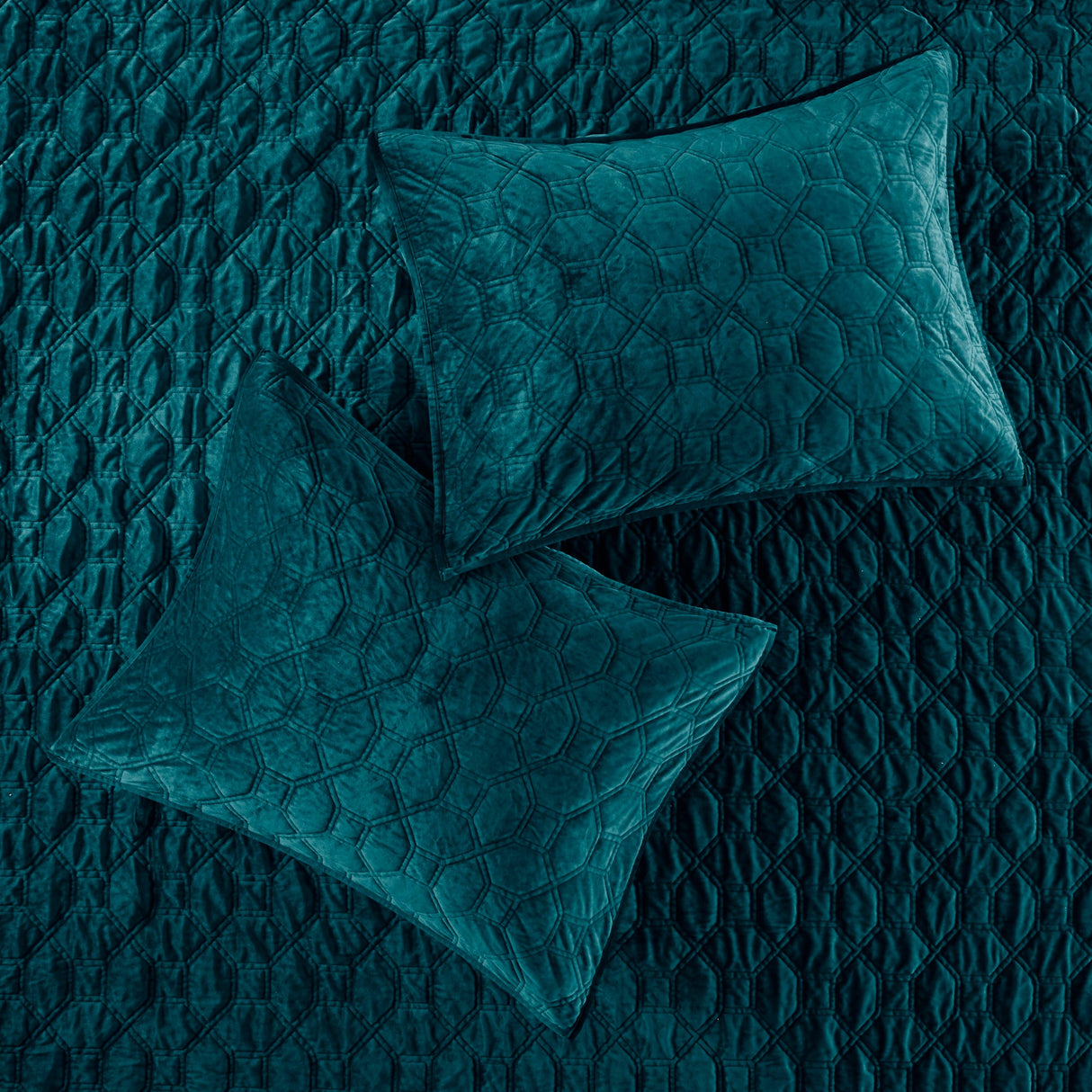 23963501
