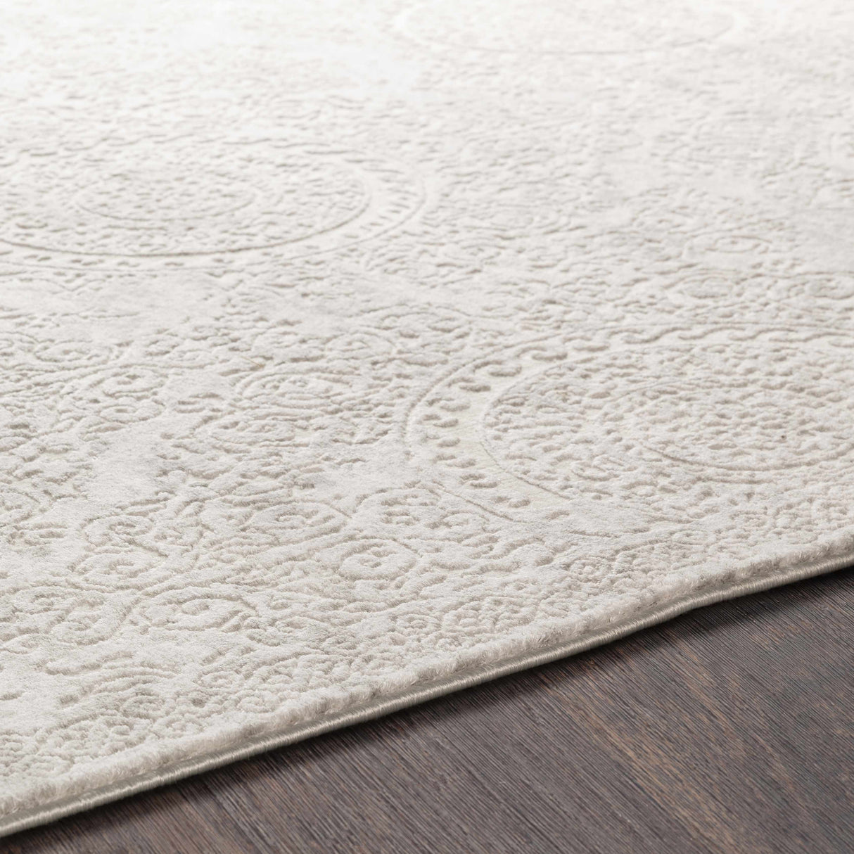 Frankston Faux Silk Rug - Clearance