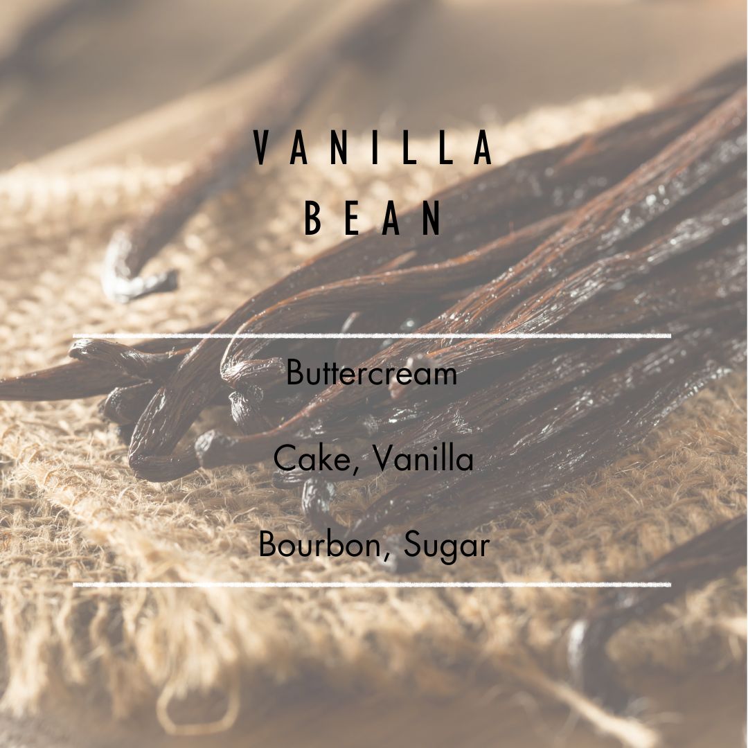 Vanilla Bean Soy Candle