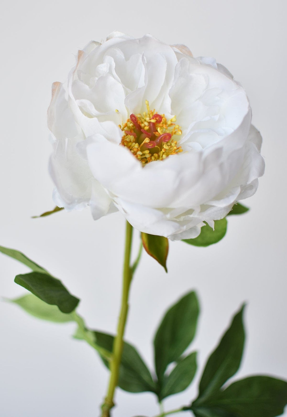 House by JSD 22" Faux White Peony Stem