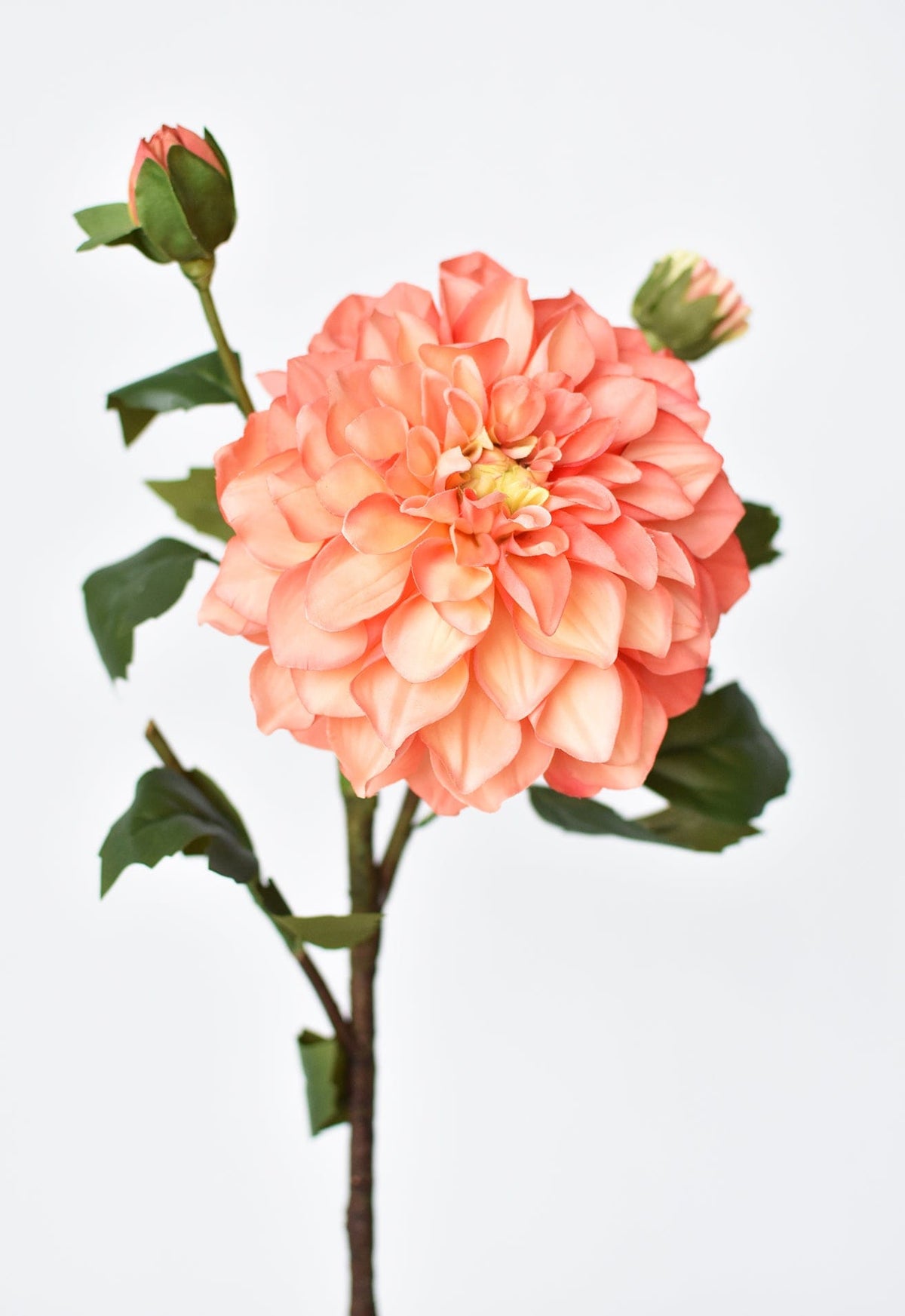 House by JSD 23.5" Faux Coral Dahlia w/Bud Stem - view 3