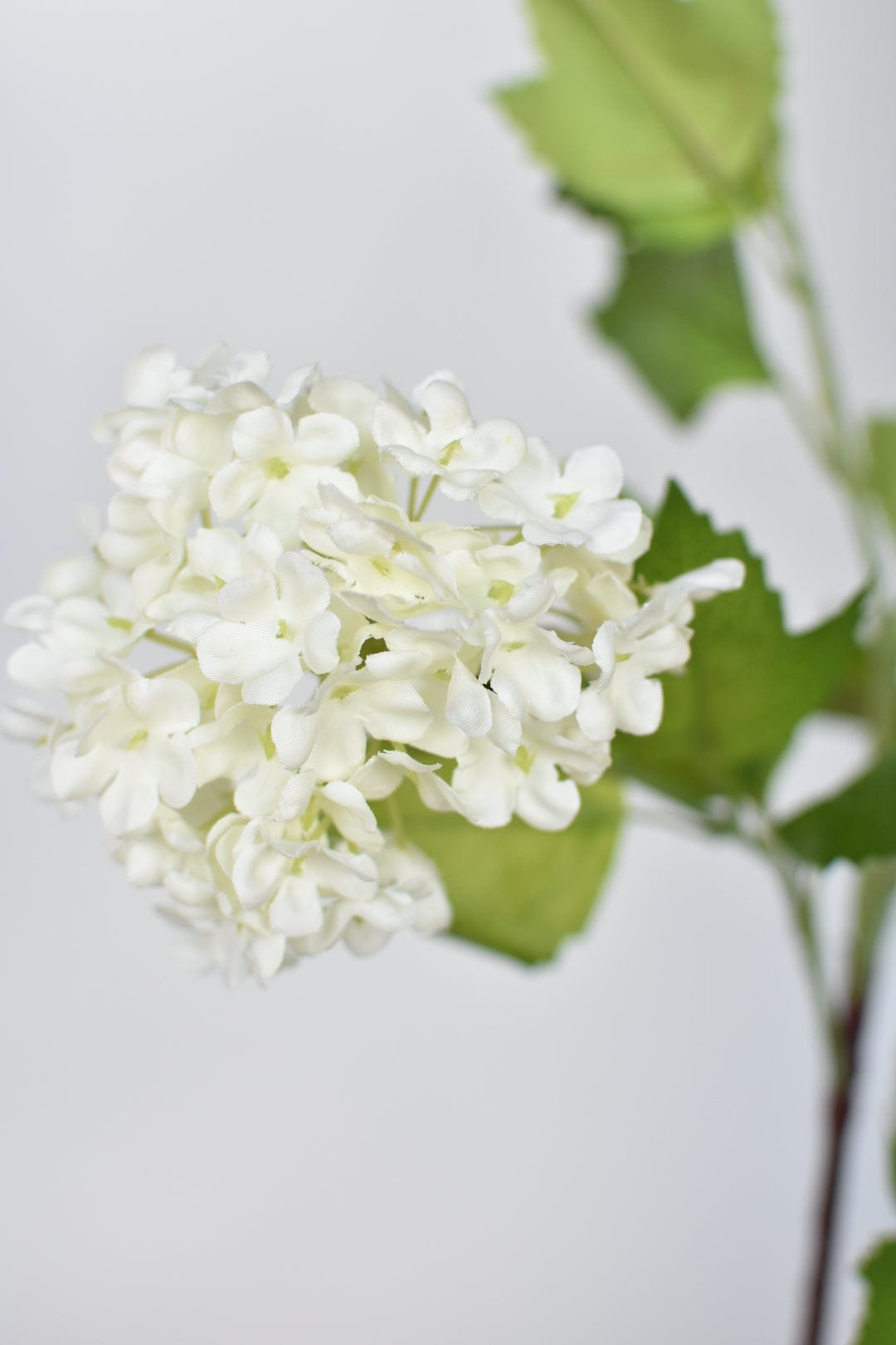 House by JSD 34" Faux White Snowball Hydrangea Stem - view 5