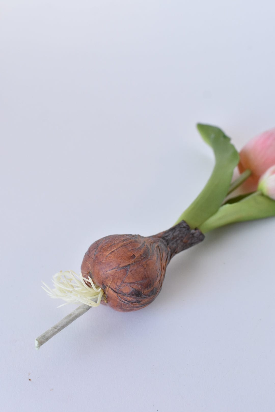 House by JSD 8" Faux Real Touch Soft Pink Tulips in Bulb w/pick - view 4