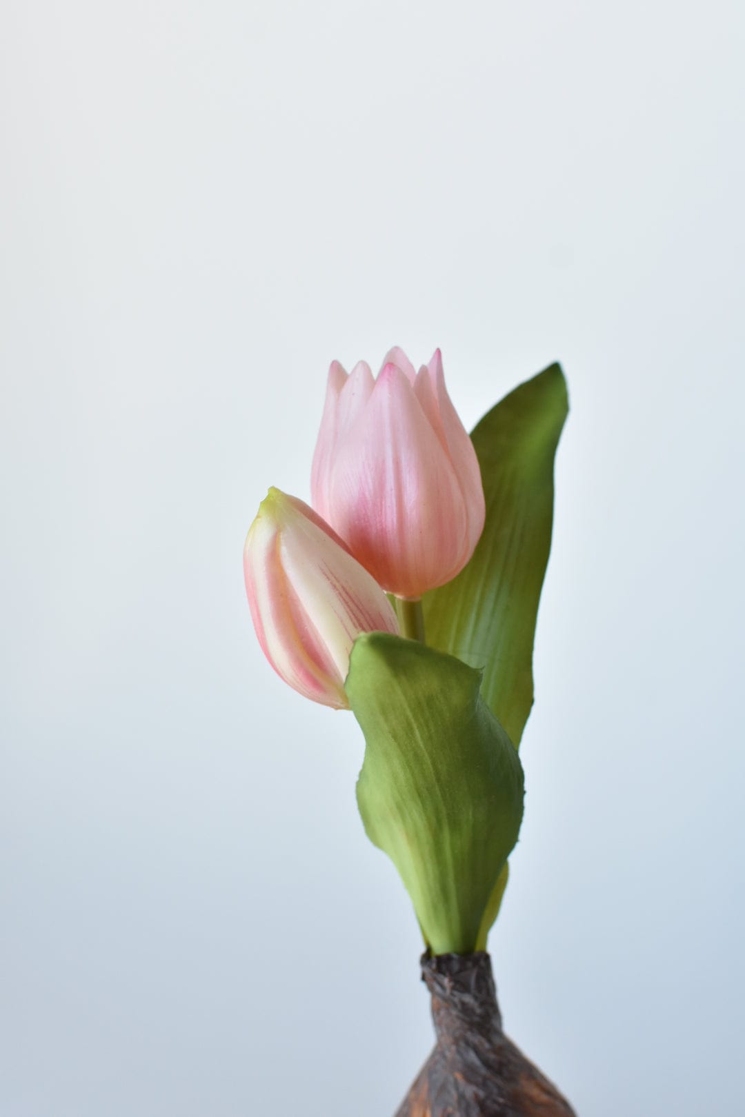 House by JSD 8" Faux Real Touch Soft Pink Tulips in Bulb w/pick - view 5