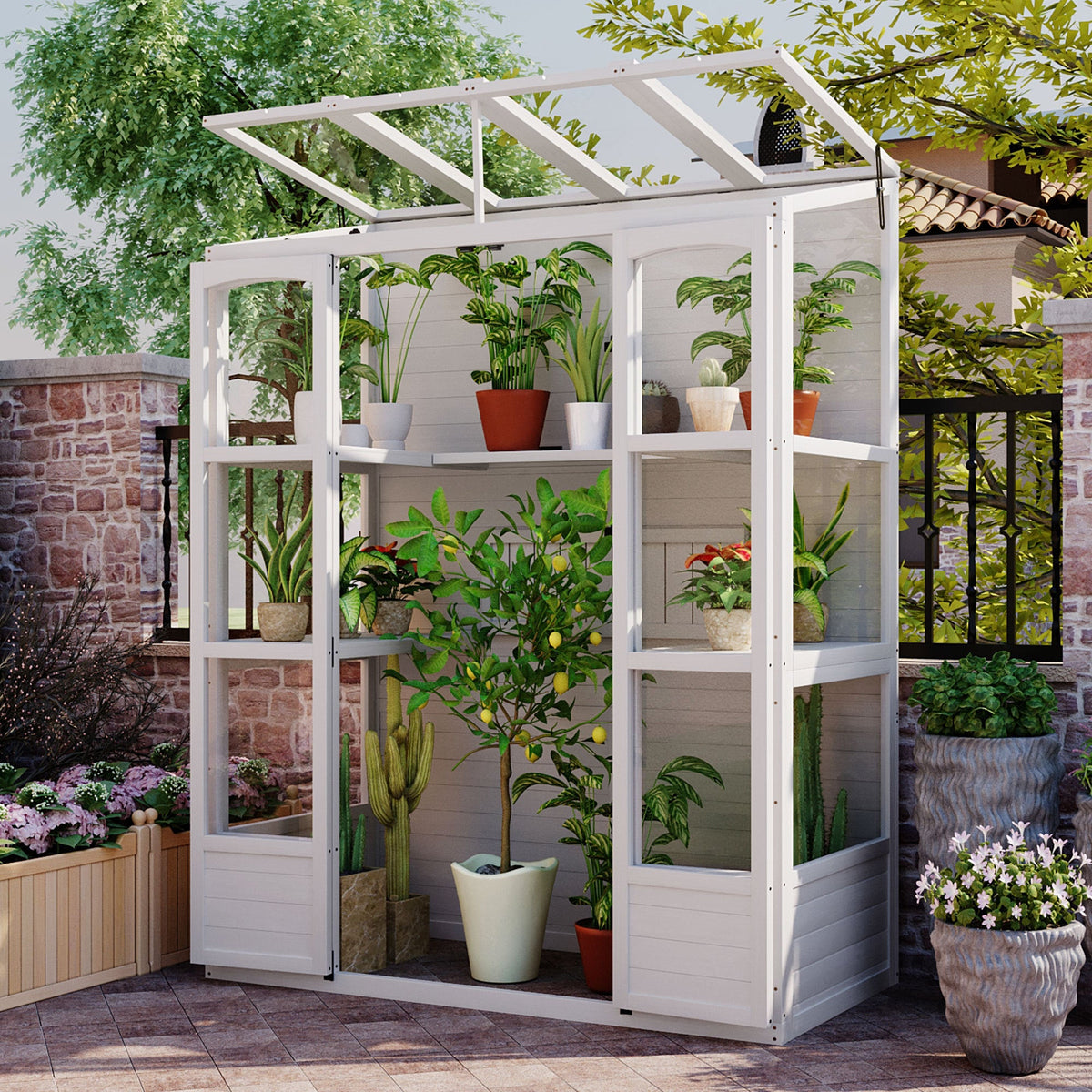 House of Zazla 78-Inch Wooden Walk-In Greenhouse with Skylights and Folding Shelves