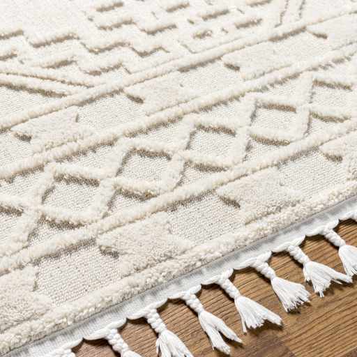 Kalkan High/Low Pile Rug with Tassels - Clearance
