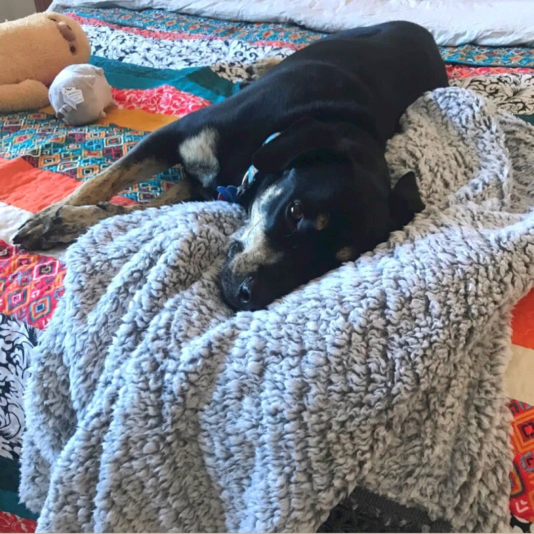 Boho Stripe Quilt Set