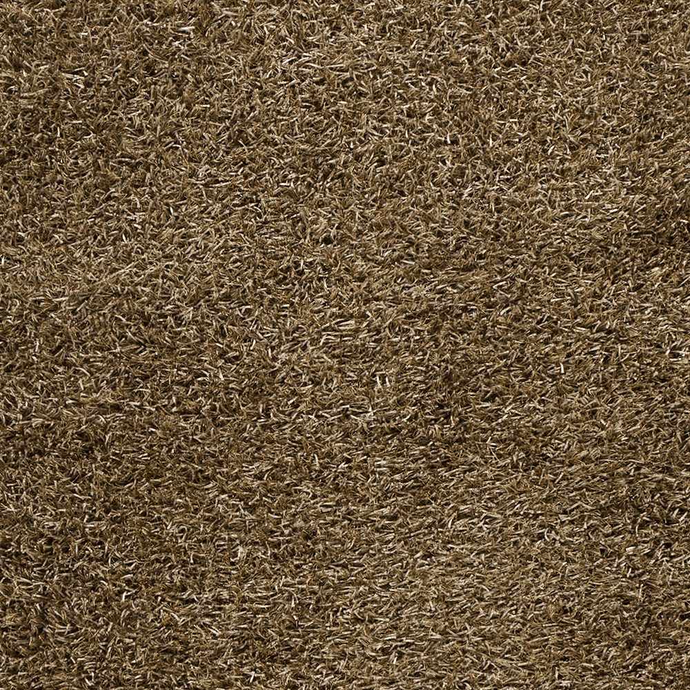 Lyles Area Carpet - Clearance
