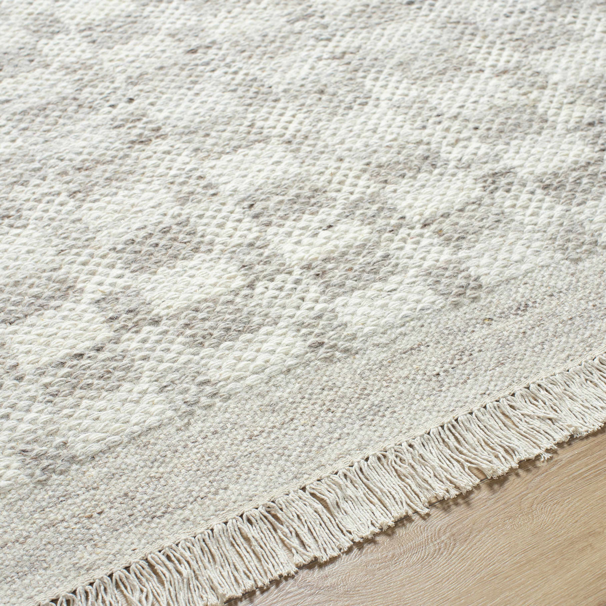 Meira Medium Gray Area Rug - Clearance