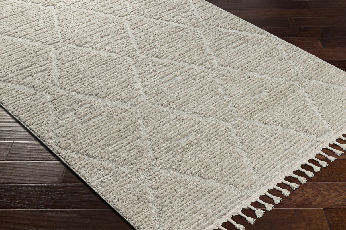 Mengen High/Low Pile Rug with Tassels