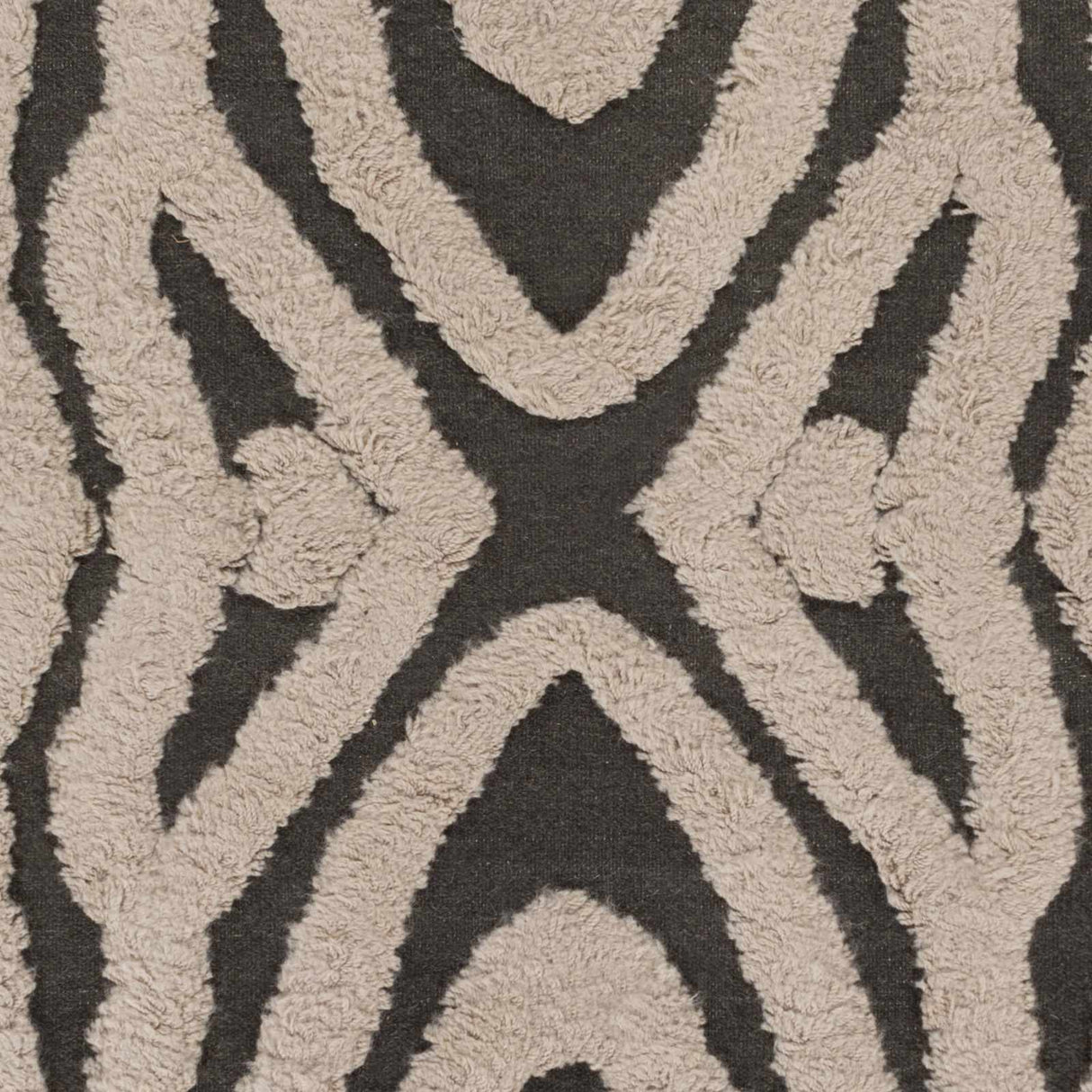 Money Area Carpet - Clearance