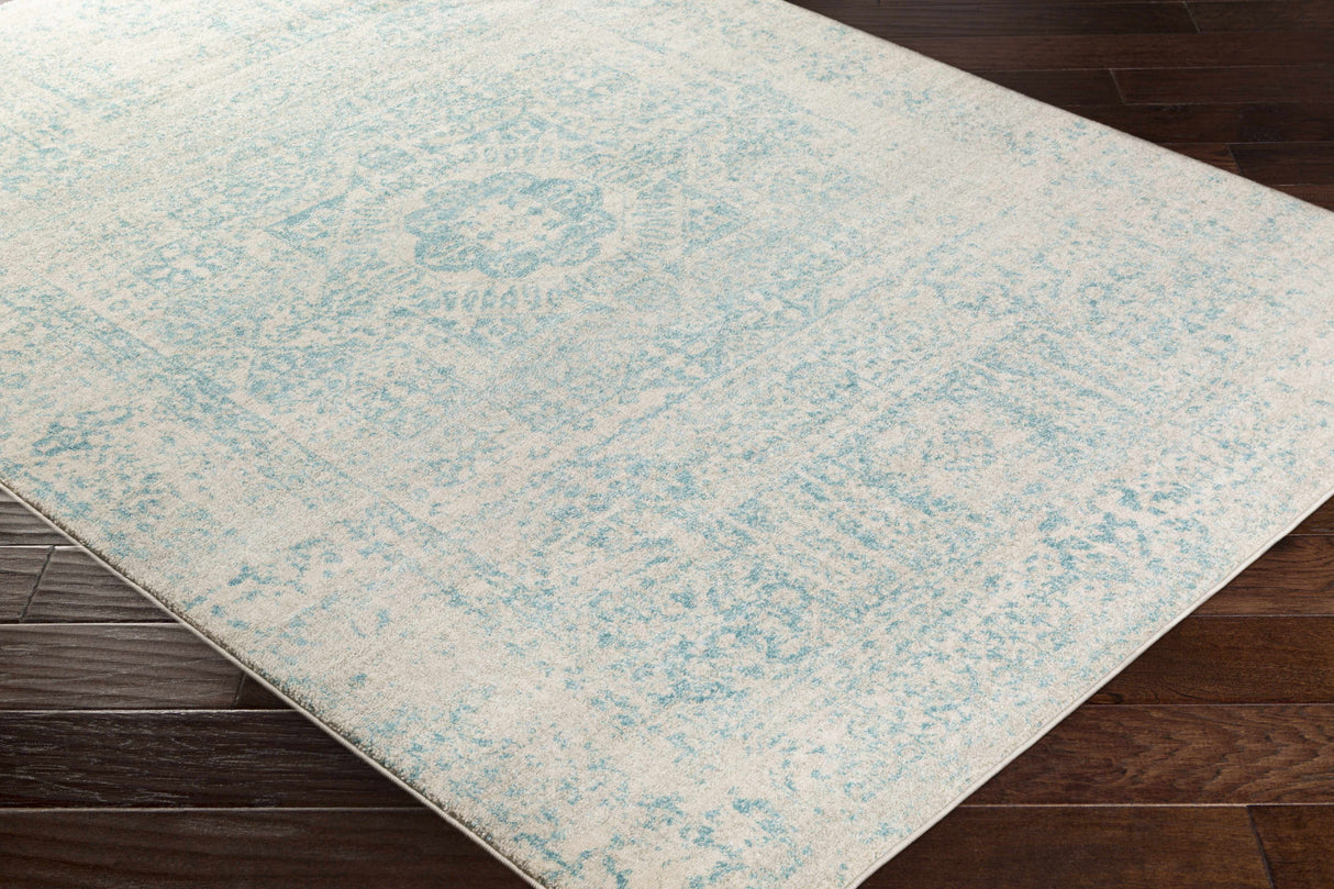 Omega Area Rug - Clearance
