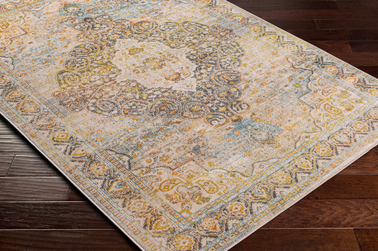 Palampas Area Carpet - Clearance